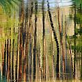 Reflections on the river